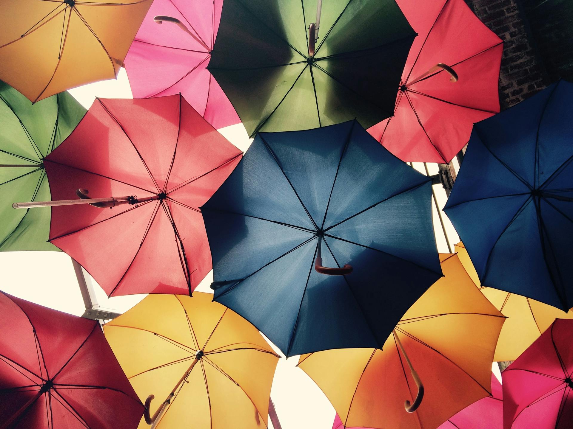 brollies